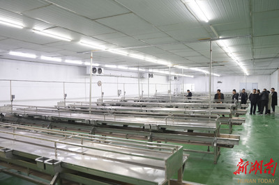 洞庭月歷｜二月·漁民 湖平浪靜，岸邊泊著美好的夢(mèng)與豐饒的農(nóng)副產(chǎn)品