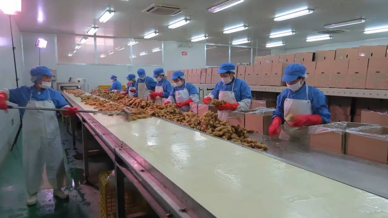 蔬菜加工何時(shí)告別