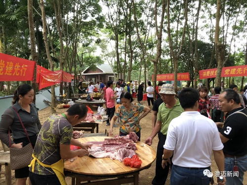 海南消費(fèi)扶貧銷量榜發(fā)布 澄邁位列第三，農(nóng)副產(chǎn)品貢獻(xiàn)突出