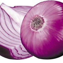 山東逸樂(lè)農(nóng)副產(chǎn)品加工廠 脫水大蒜、大蒜、洋蔥及其他農(nóng)副產(chǎn)品的專業(yè)加工與供應(yīng)