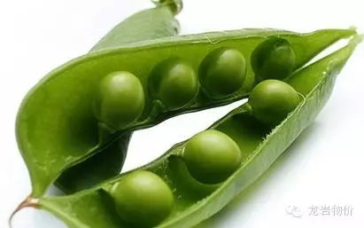 10月12日龍巖市部分農(nóng)貿(mào)市場農(nóng)副產(chǎn)品價(jià)格概覽