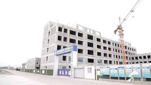 平原縣 聚焦綠色化工與農(nóng)副產(chǎn)品精深加工，雙輪驅(qū)動(dòng)沖刺百億產(chǎn)值新高地