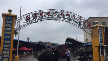 衡陽(yáng)市西園農(nóng)副產(chǎn)品批發(fā)大市場(chǎng)債權(quán)問(wèn)題分析 農(nóng)副產(chǎn)品流通環(huán)節(jié)的金融風(fēng)險(xiǎn)與應(yīng)對(duì)策略