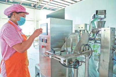 建寧 智能化助力農(nóng)副產(chǎn)品與食品加工產(chǎn)業(yè)升級(jí)