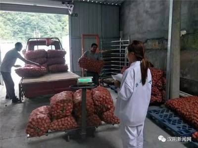 鎮(zhèn)園聯(lián)盟+電商聯(lián)盟 漢陰農(nóng)副產(chǎn)品鼓起村民“錢(qián)袋子”的雙引擎